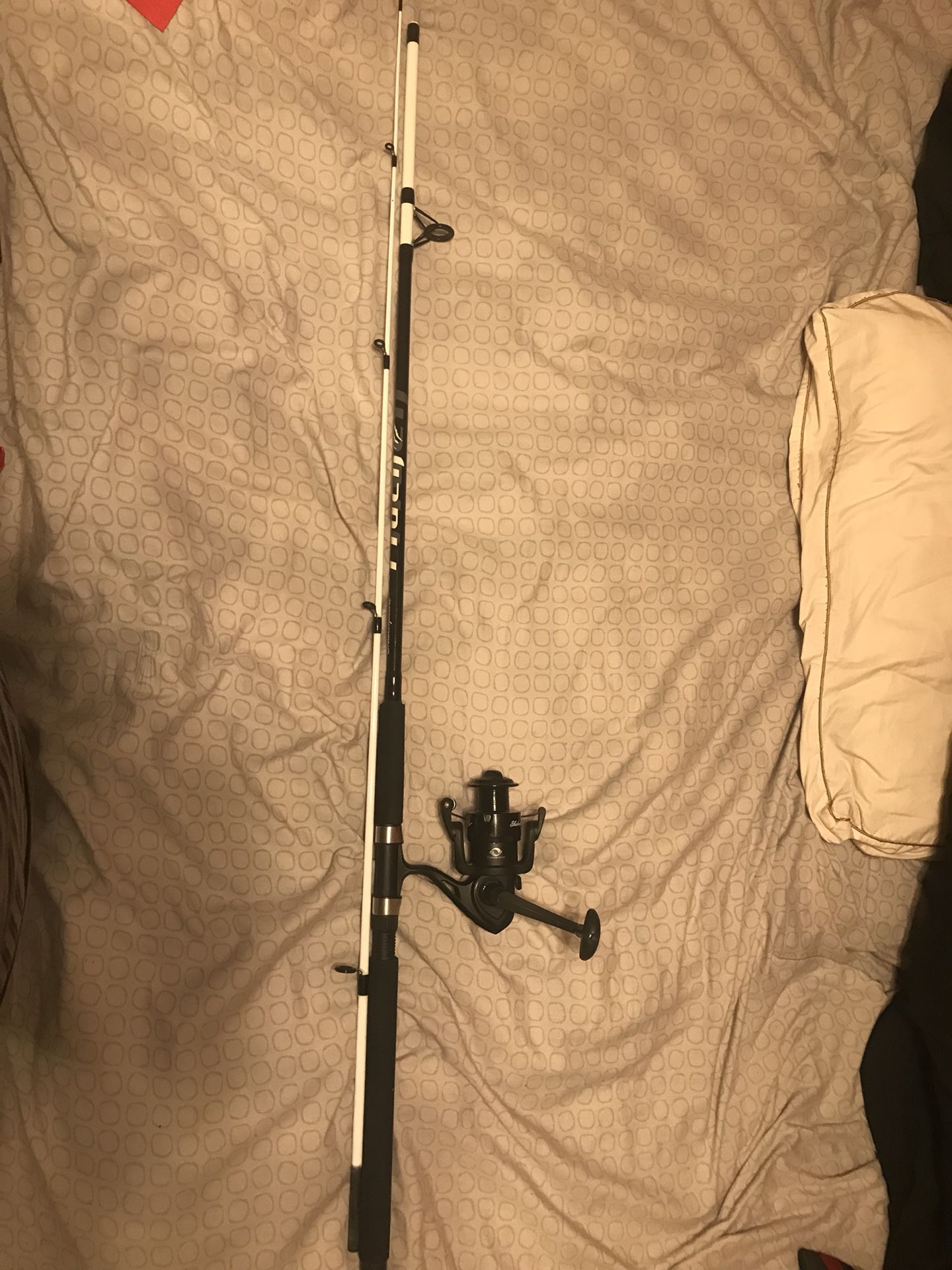 Shakespeare tiger fishing rod and reel