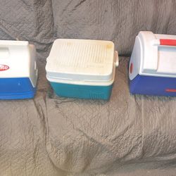 3 Small Ice Chests