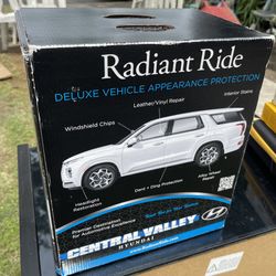 Radiant Platinum Car Care Kit