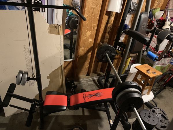 Weight Bench And Gold S Gym Assisted Pull Ups Dip Tower For Sale