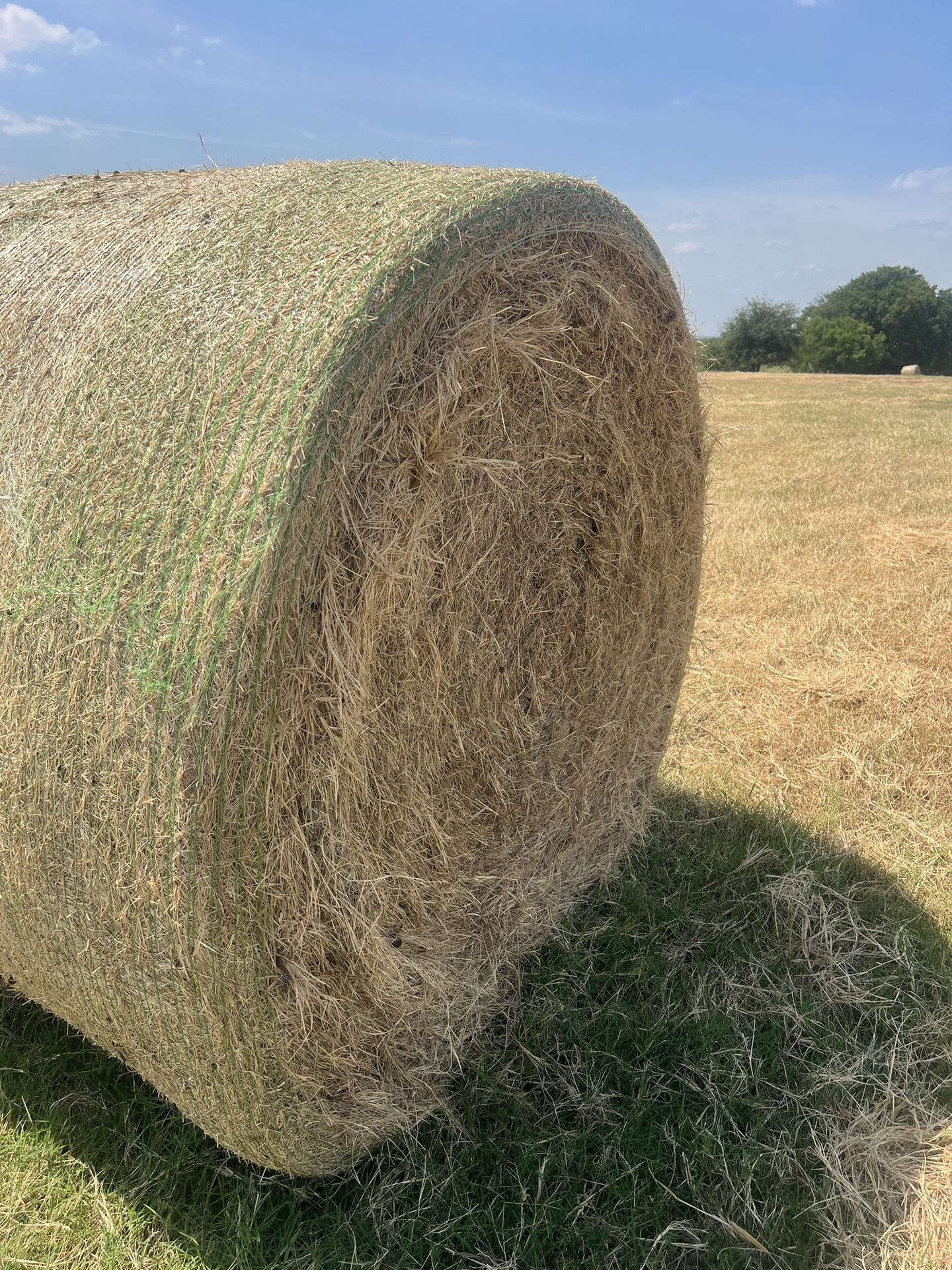 Round Bales