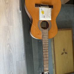 Ibanez Acoustic Guitar Never Used