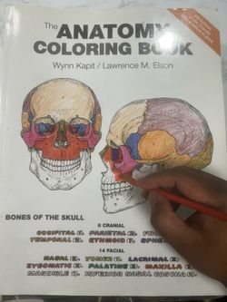 Anatomy Coloring Book