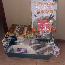 Guinea Pig Bundle 