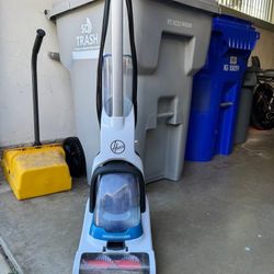Free Carpet Cleaner (read Description)
