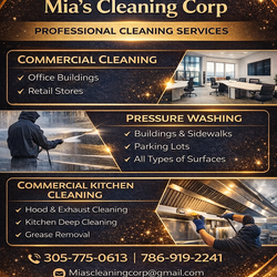 PRESSURE CLEANING (ALL SURFACES )