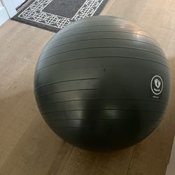 Exercise Ball - Gray