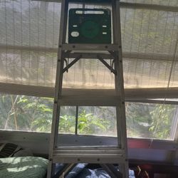 Aluminum Ladder