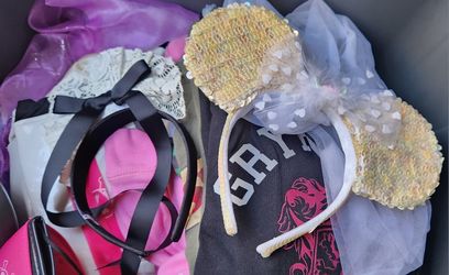 Minnie Ears With Vail