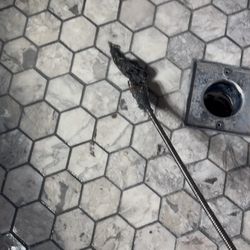 Snake Drain 