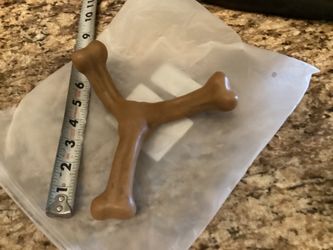 Dogs chew bone