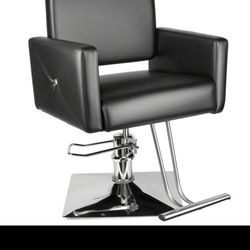 Salon Chair 
