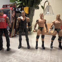 Loose Wwe Action Figures