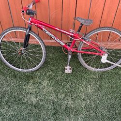 Red Line Mini Pro Line