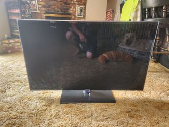 Samsung 48" TV. Works perfectly