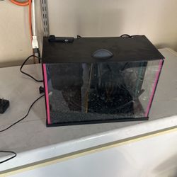 3 Gallon Fish Tank