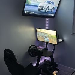 racing simulator 