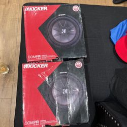 2 10s CompR Subwoofer 