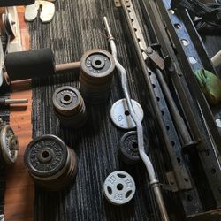 Curl Bar And Weights