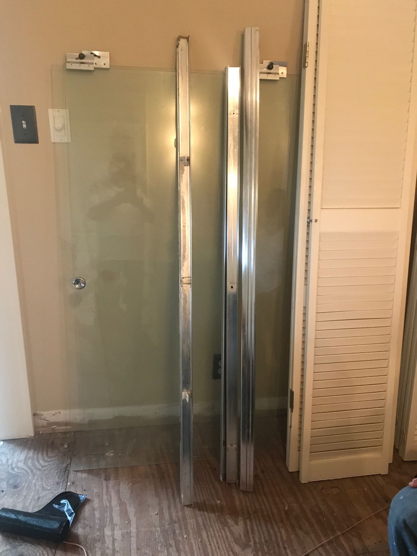 Shower door