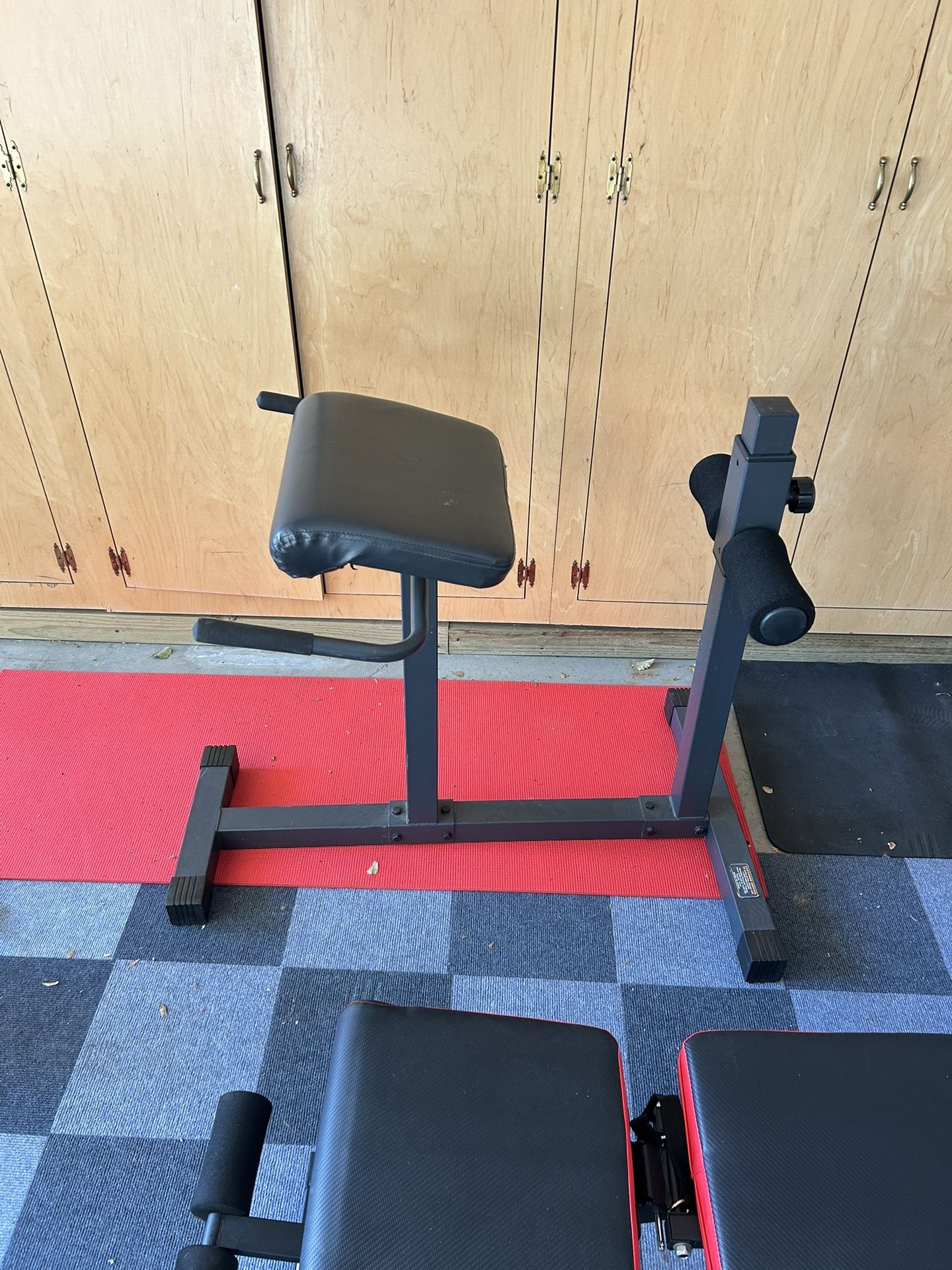Back Extension Machine