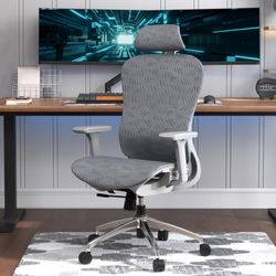 Ergonomic Office Chair, Big and Tall Office Chair - with 3D Lumbar Support, 4D Adjustable Headrest, 4D Adjustable Armrests, Seat Depth Adjustable Swiv