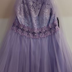 Plus Size Mini Lavender Dress