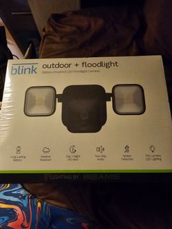 Blink outdoor + floodlight