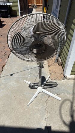 Pedestal fan