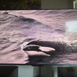 Amazon Fire TV Omni 65" QLED Series