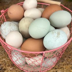 Fresh eggs 