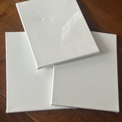 Canvases (11x14)