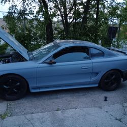 Mustang 