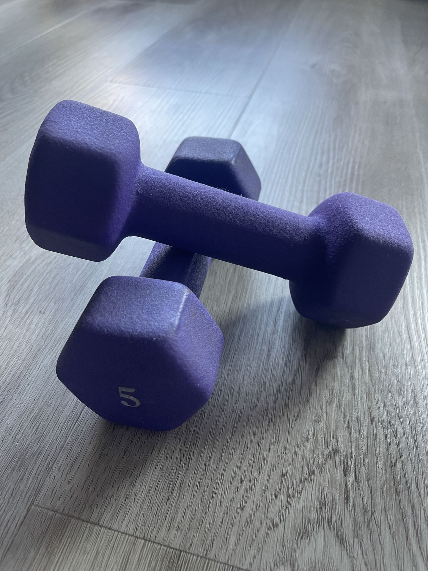 Purple 5 lb. Neoprene Dumbbells (2) - Originally $25.99