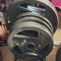 230lbs Olympic Weight Plates 