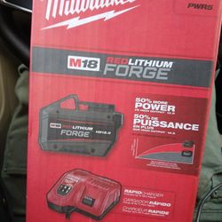 Milwaukee HD 12.0 BATTERY WITH RAPID CHARGER