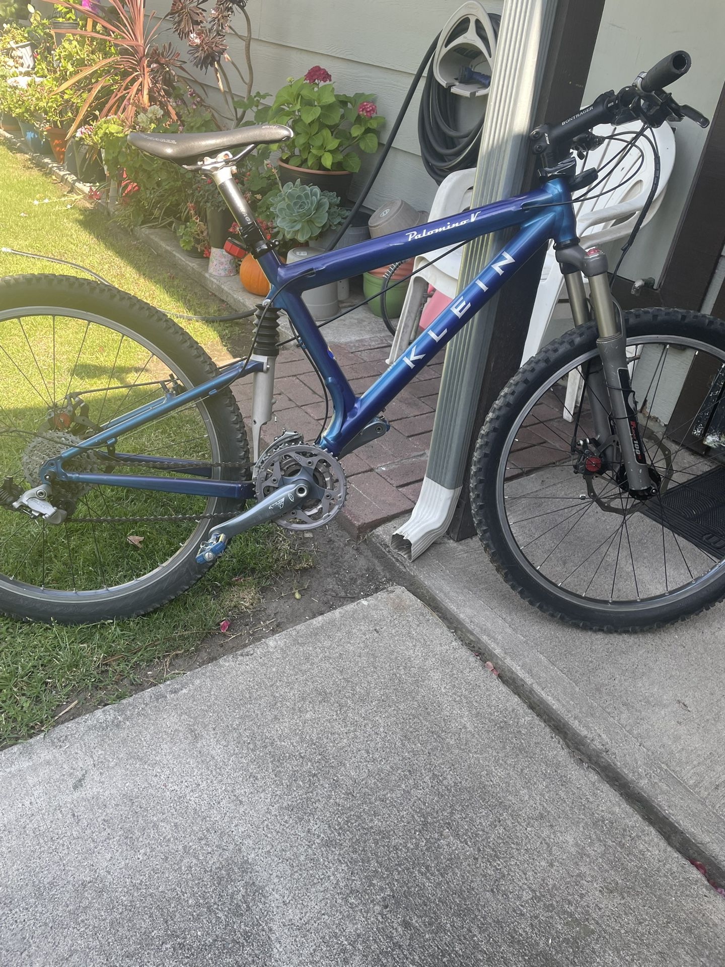 Adult Bicycle
