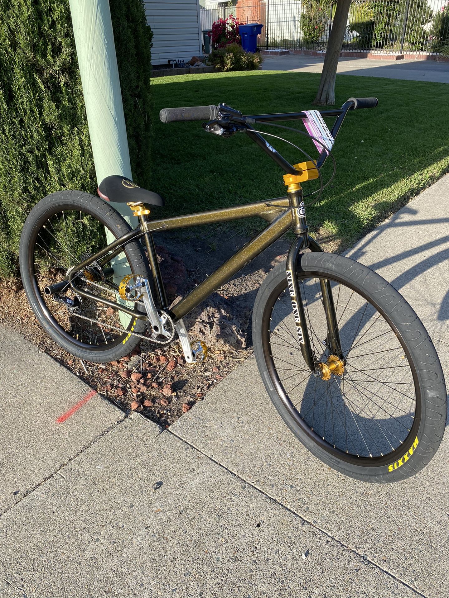 2021 SE Fast Ripper 29’