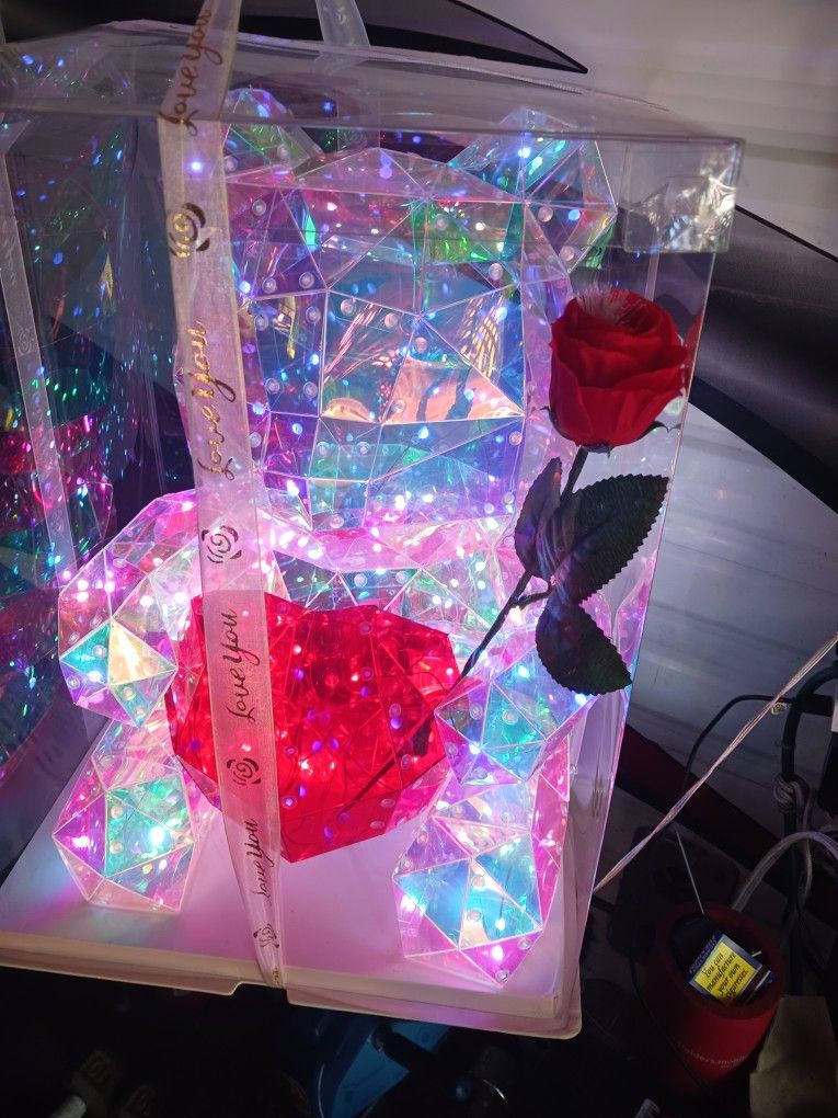 LED BEAR