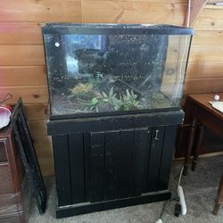 Fish Aquarium