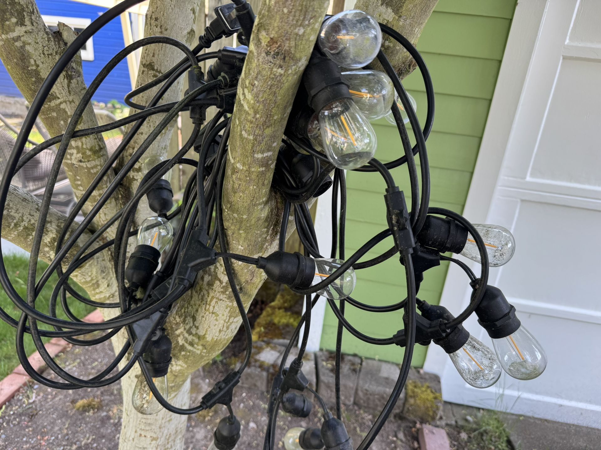 Outdoor String Lights