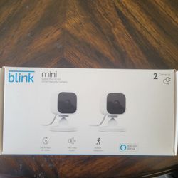 2 Cameras  blink Mini