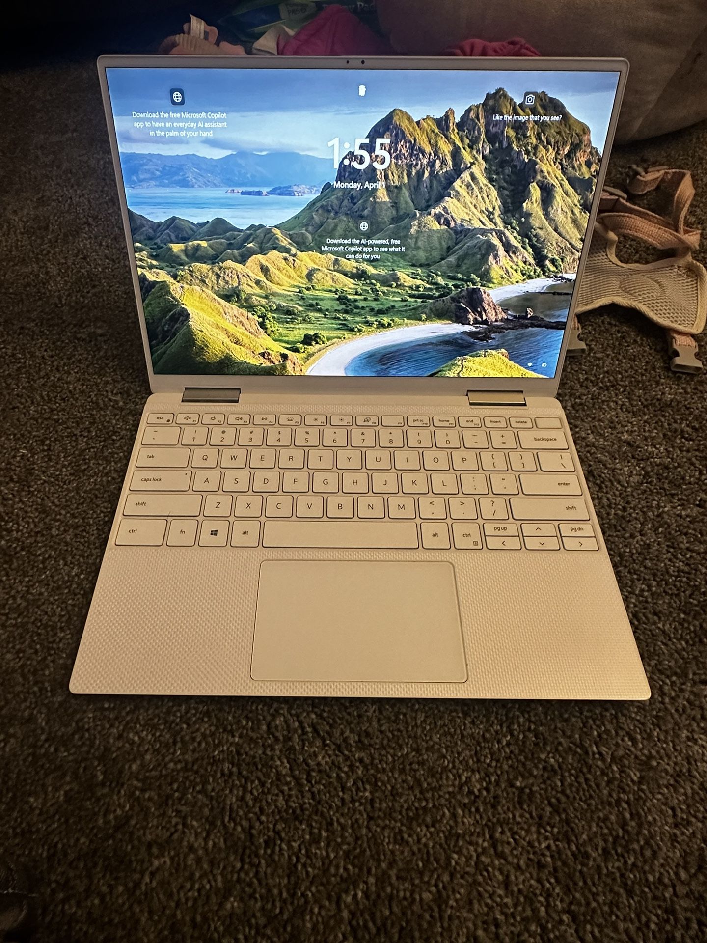 Dell XPs 