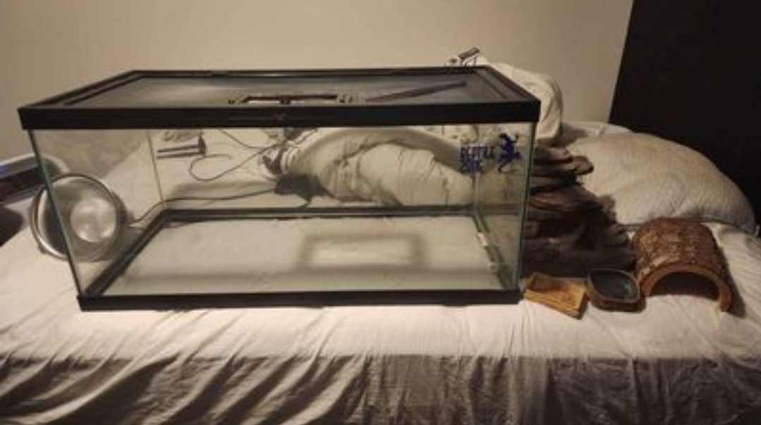 Reptile Terrarium And Accessories