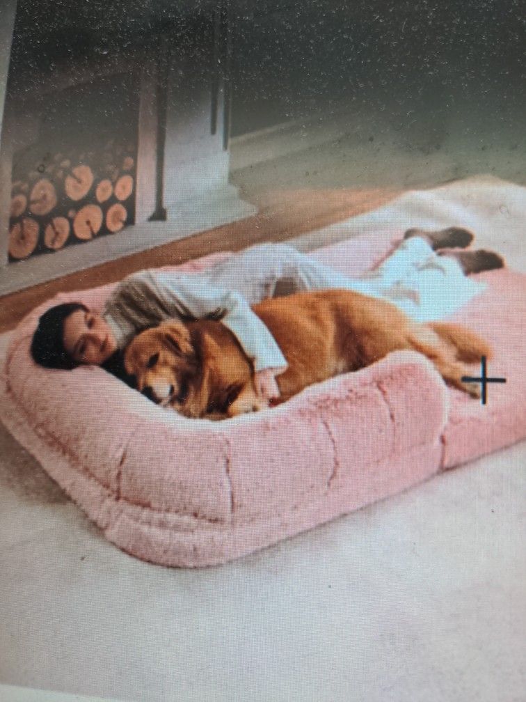 Be Sure Foldable Human Dog Bed