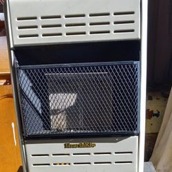 Propane And GAS HEATER 