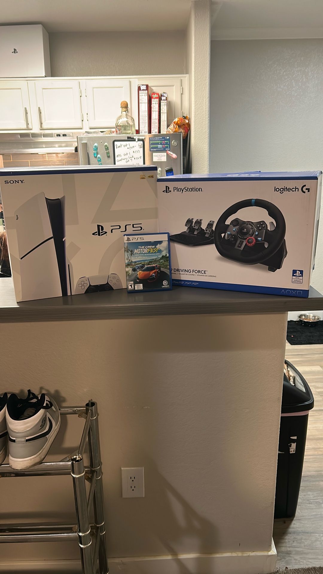 PS5, G29 Driving Force Racing Wheel And 1 Game