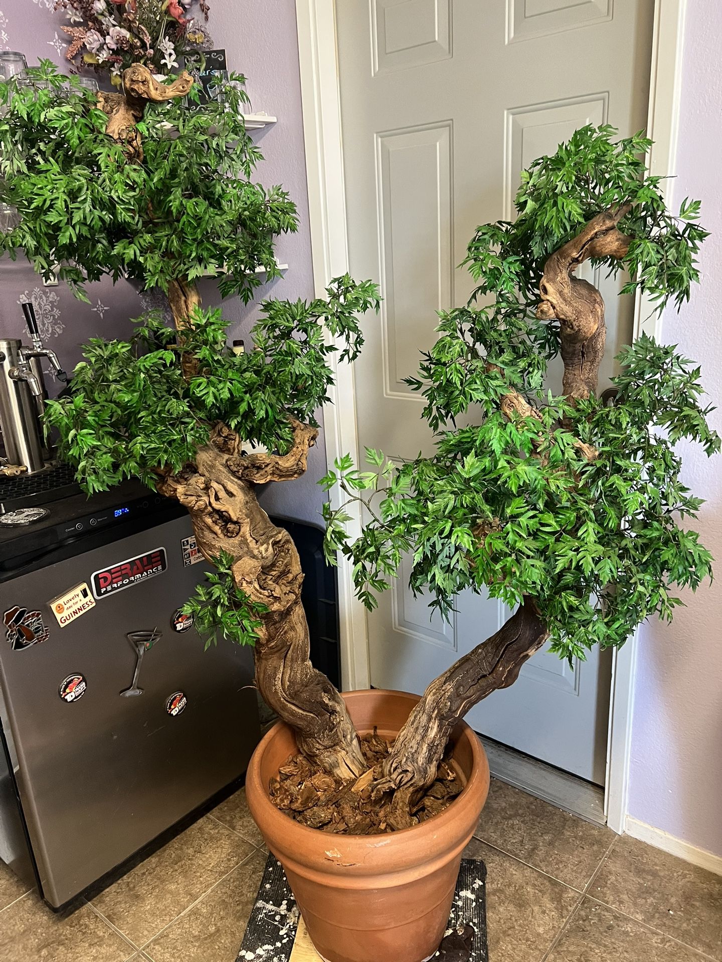 5’ X 4’ Large Indoor Silk Bonsai Tree