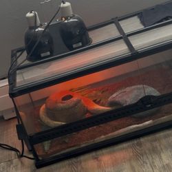 Python Enclosures And 🐍