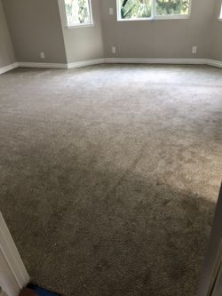 Carpet